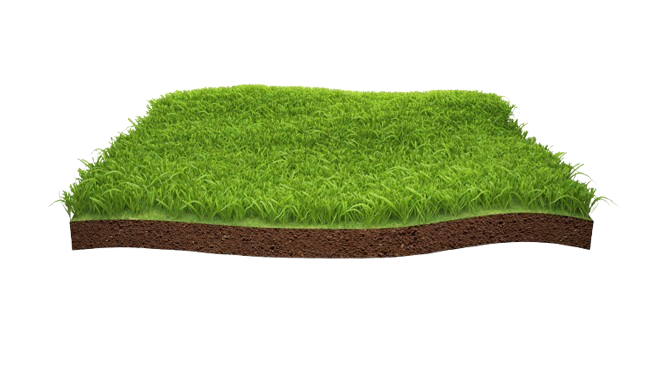 Transform Your Outdoor Space With Expert Landscape Design