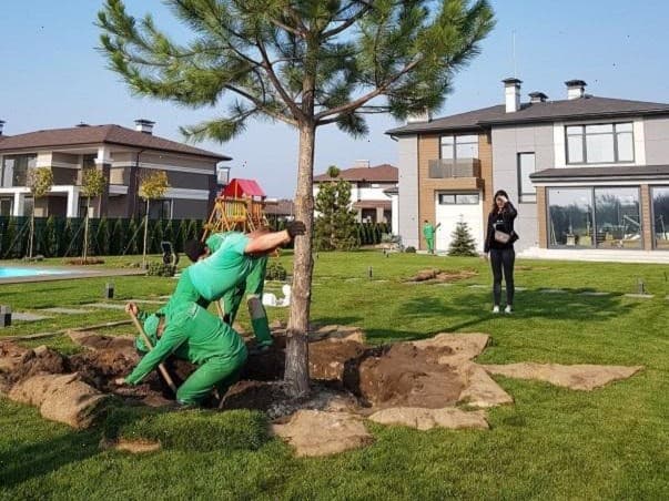 Professional Planting Services